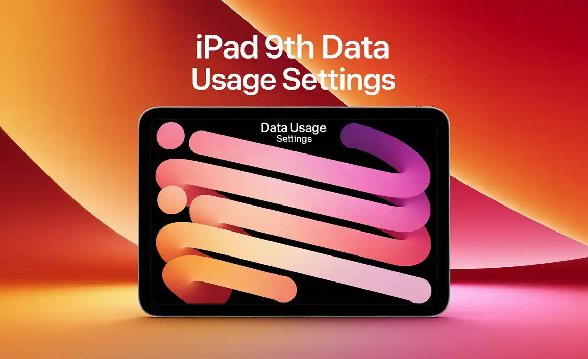 iPad 9th Gen Data Usage Settings