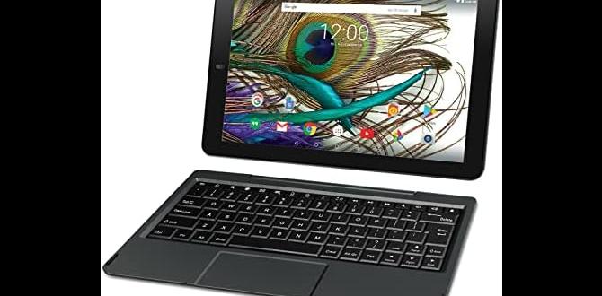 Performance and user experience rca tablet 10 viking pro android version for students