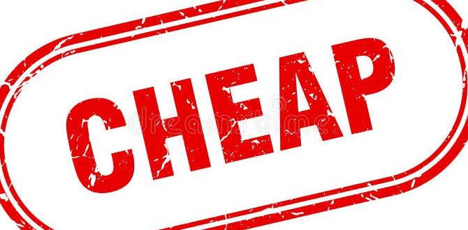 cheap tablets for graphic design expert picks